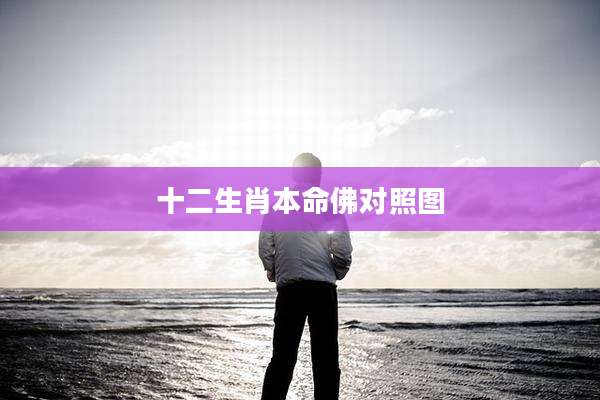 十二生肖本命佛对照图