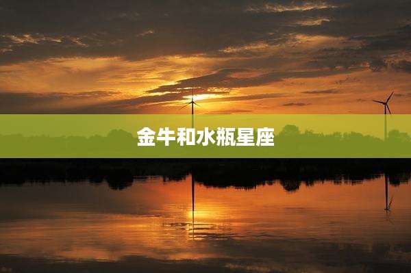金牛和水瓶星座