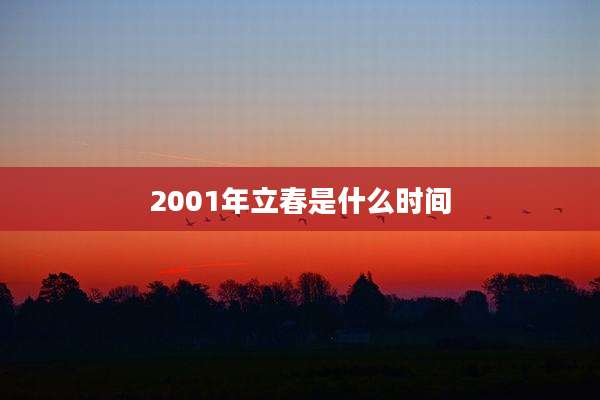 2001年立春是什么时间