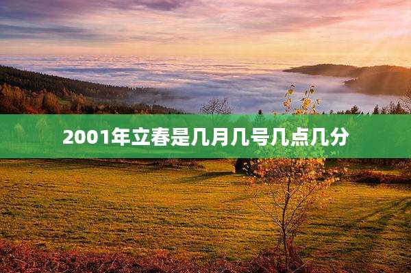 2001年立春是几月几号几点几分