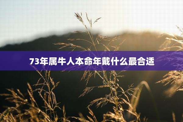 73年属牛人本命年戴什么最合适