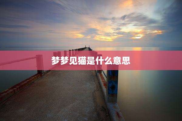 梦梦见猫是什么意思