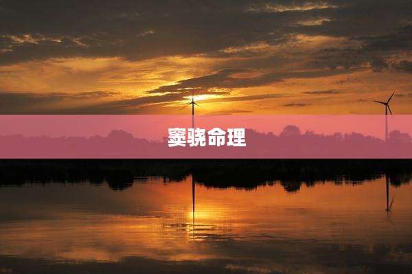 窦骁命理