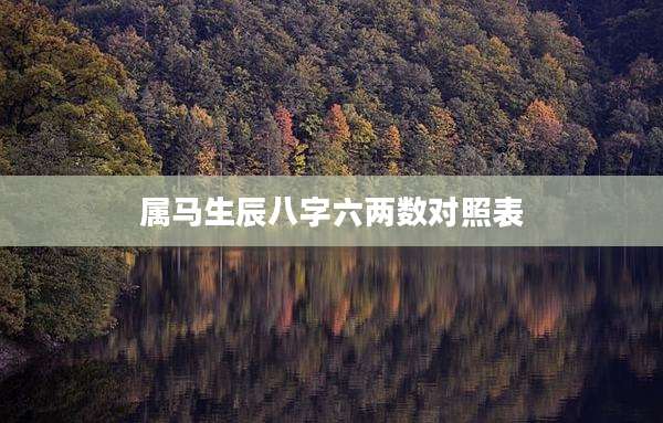 属马生辰八字六两数对照表