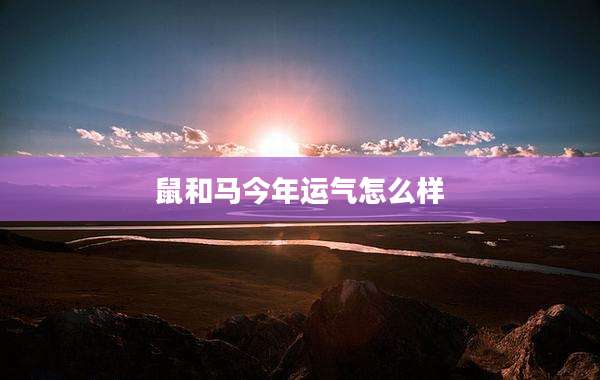 鼠和马今年运气怎么样