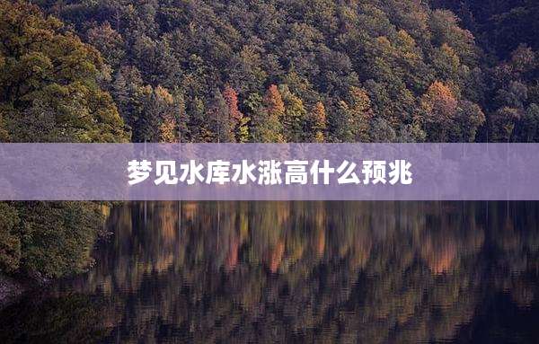 梦见水库水涨高什么预兆