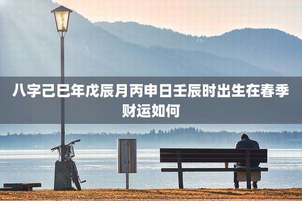 八字己巳年戊辰月丙申日壬辰时出生在春季财运如何