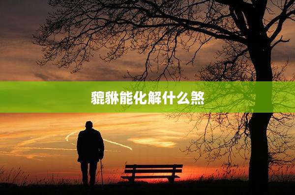 貔貅能化解什么煞