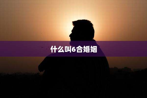 什么叫6合婚姻