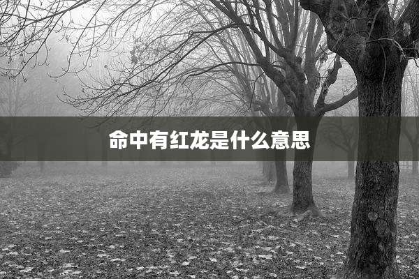 命中有红龙是什么意思