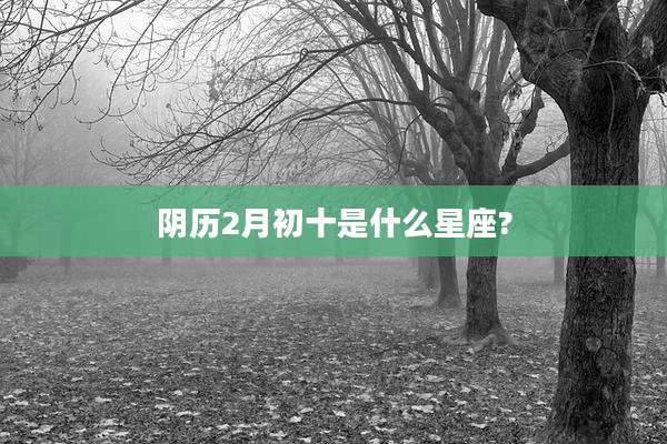 阴历2月初十是什么星座?