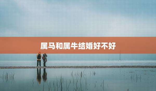 属马和属牛结婚好不好