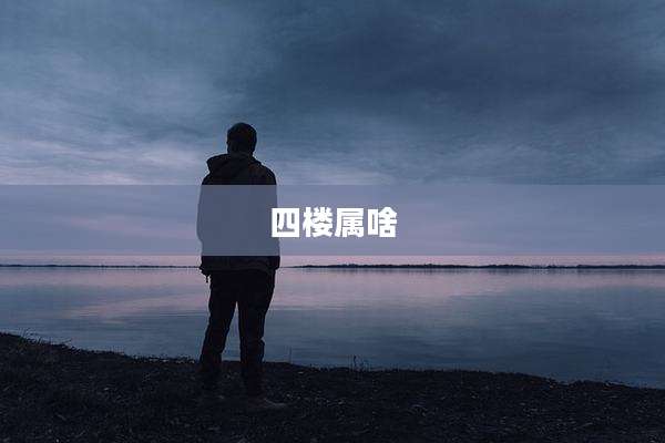 四楼属啥