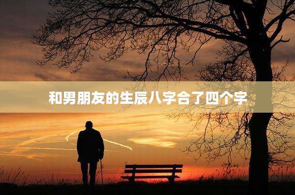 和男朋友的生辰八字合了四个字