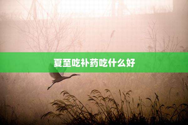 夏至吃补药吃什么好