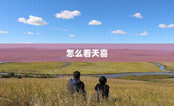 怎么看天喜