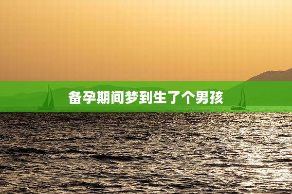 备孕期间梦到生了个男孩