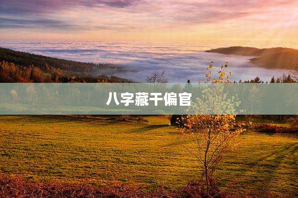 八字藏干偏官