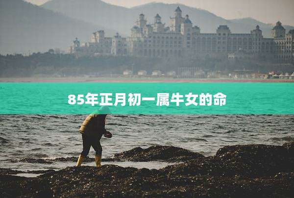 85年正月初一属牛女的命
