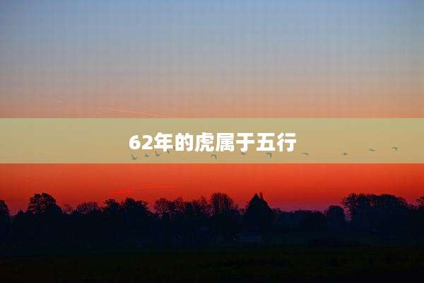 62年的虎属于五行