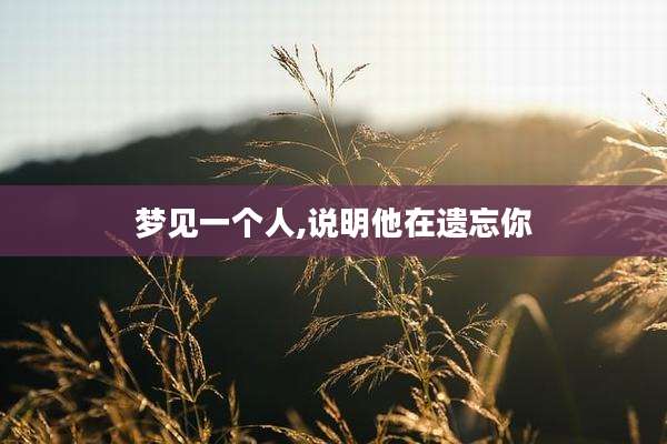 梦见一个人,说明他在遗忘你