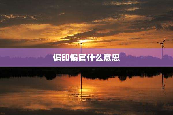 偏印偏官什么意思