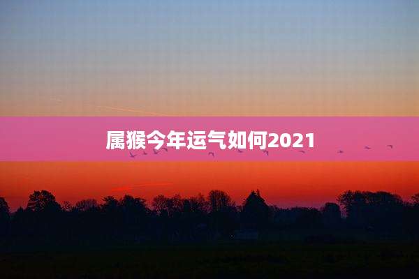 属猴今年运气如何2021