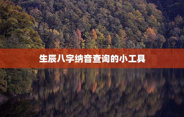 生辰八字纳音查询的小工具
