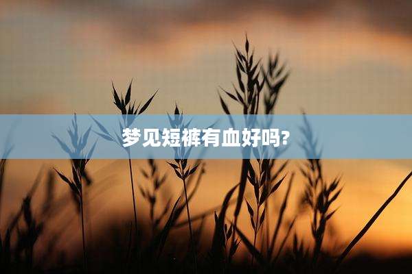 梦见短裤有血好吗?