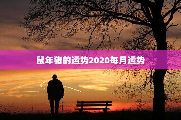 鼠年猪的运势2020每月运势