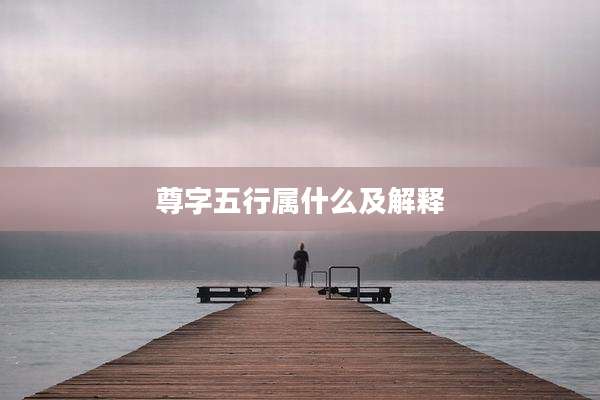 尊字五行属什么及解释