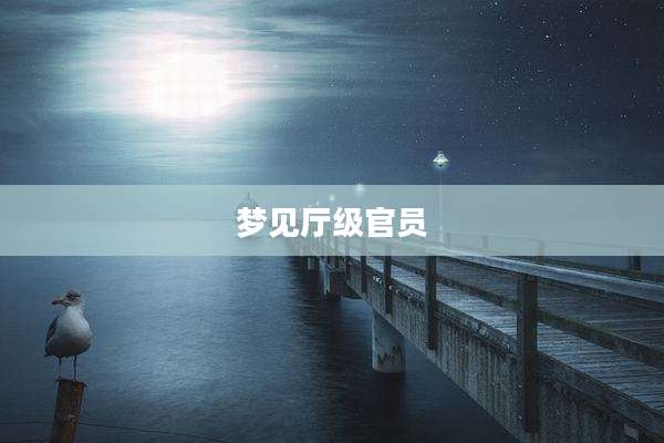 梦见厅级官员