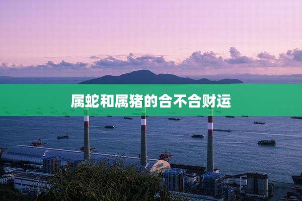属蛇和属猪的合不合财运
