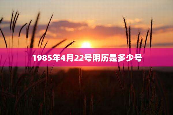 1985年4月22号阴历是多少号