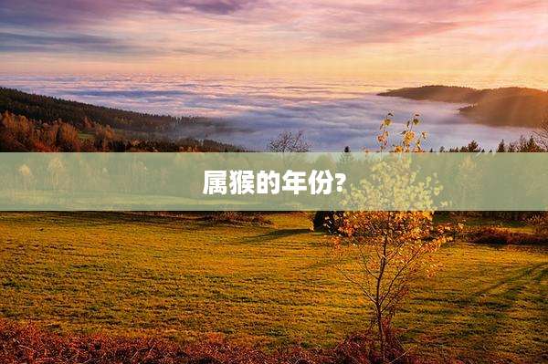 属猴的年份?