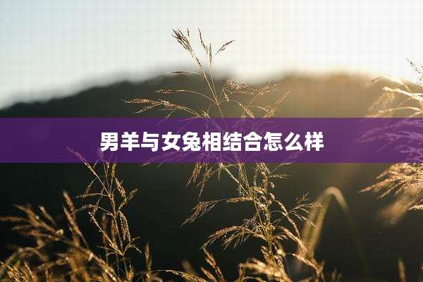 男羊与女兔相结合怎么样