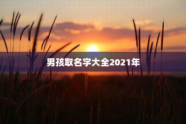 男孩取名字大全2021年