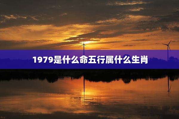 1979是什么命五行属什么生肖