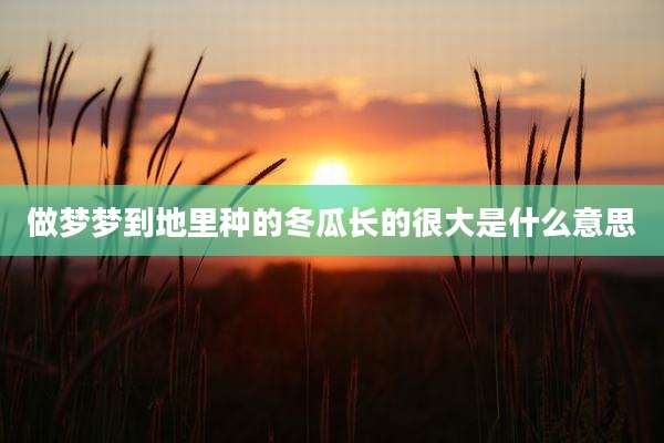 做梦梦到地里种的冬瓜长的很大是什么意思