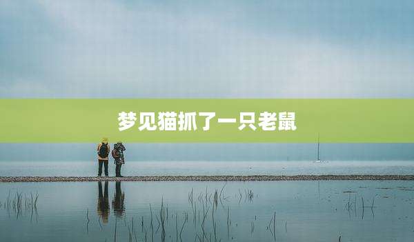 梦见猫抓了一只老鼠