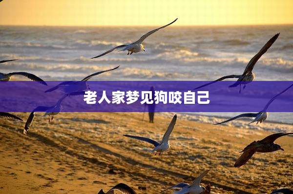 老人家梦见狗咬自己