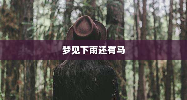 梦见下雨还有马