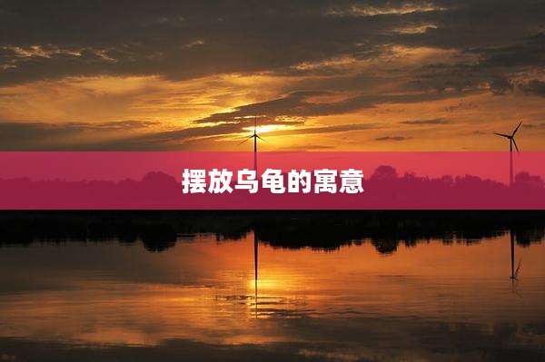 摆放乌龟的寓意