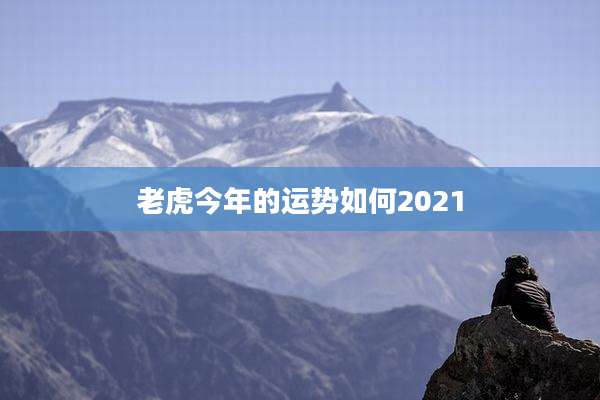老虎今年的运势如何2021