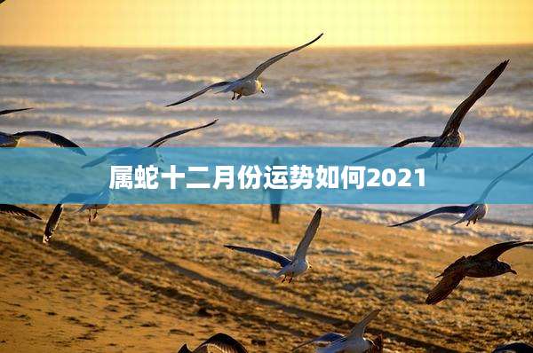 属蛇十二月份运势如何2021