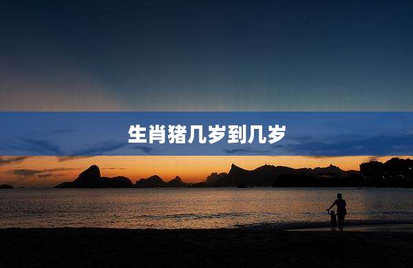 生肖猪几岁到几岁