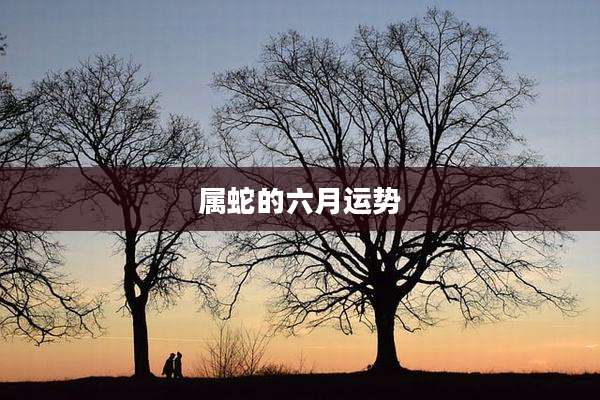 属蛇的六月运势