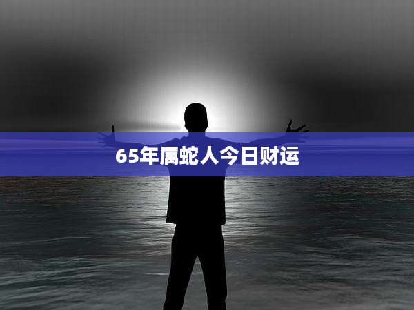 65年属蛇人今日财运