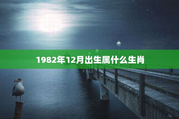 1982年12月出生属什么生肖