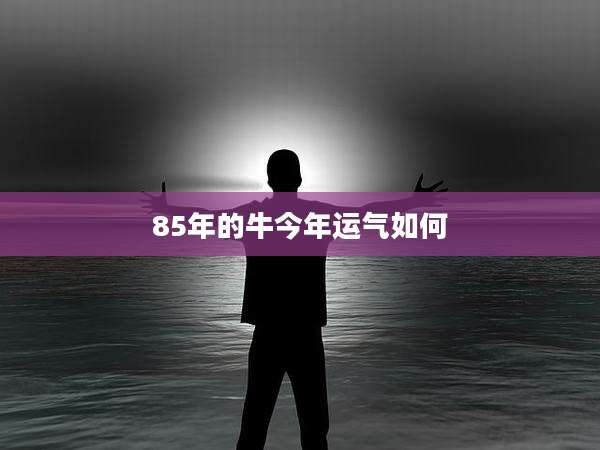 85年的牛今年运气如何